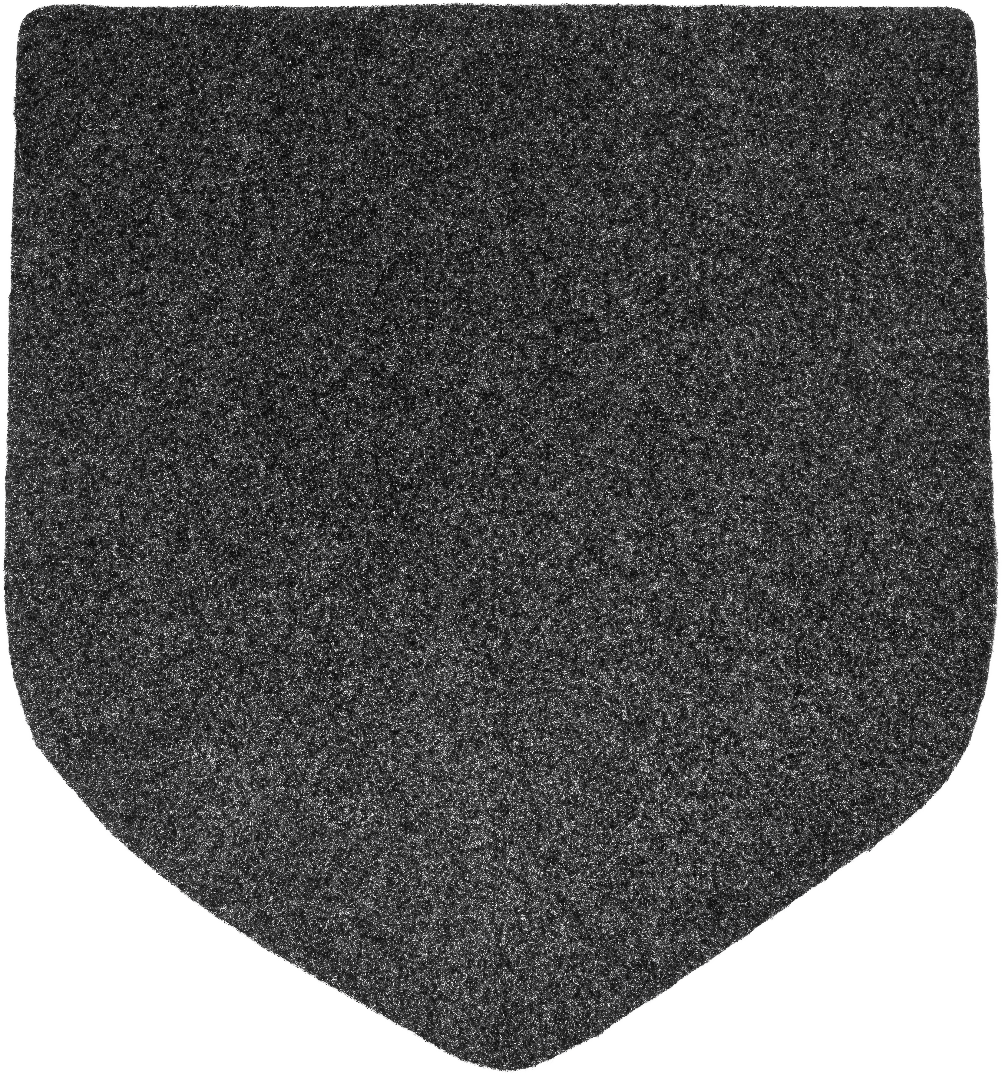 Jani-Shield