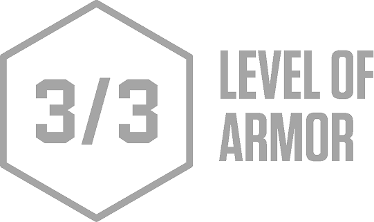 3 Level of Armor